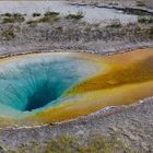 Belgian Pool im Yellowstone NP