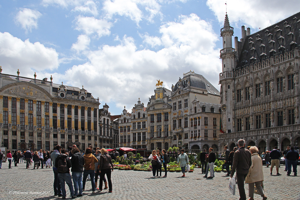 Belgien 2012 - Grand Place / Großer Markt Brüssel 1