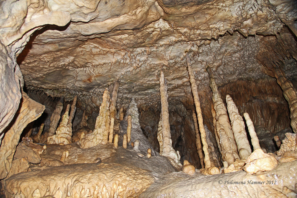 Belgien 2012 - Stalagmiten und Stalaktiten - Han-sur-Lesse