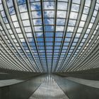 Belgien - Gare de Liège- Guillemins 1