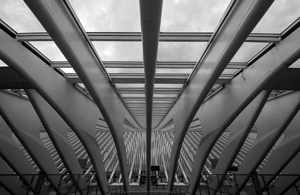 Belgien - Gare de Liège-Guillemins 2