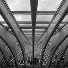 Belgien - Gare de Liège-Guillemins 2