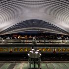 Belgien - Gare de Liège- Guillemins 2