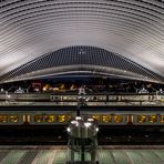 Belgien - Gare de Liège- Guillemins 2