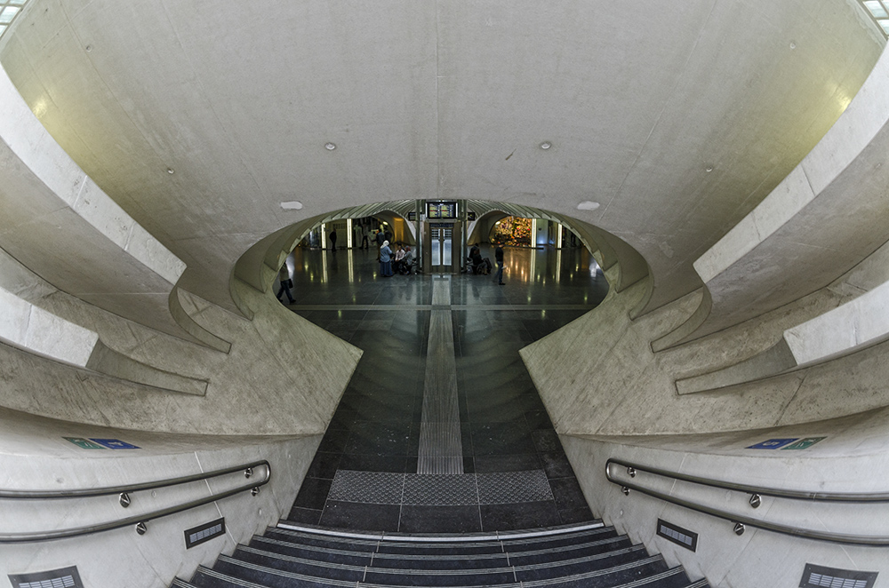 Belgien - Gare de Liège-Guillemins 3