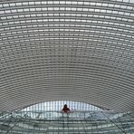 Belgien - Gare de Liège-Guillemins 3