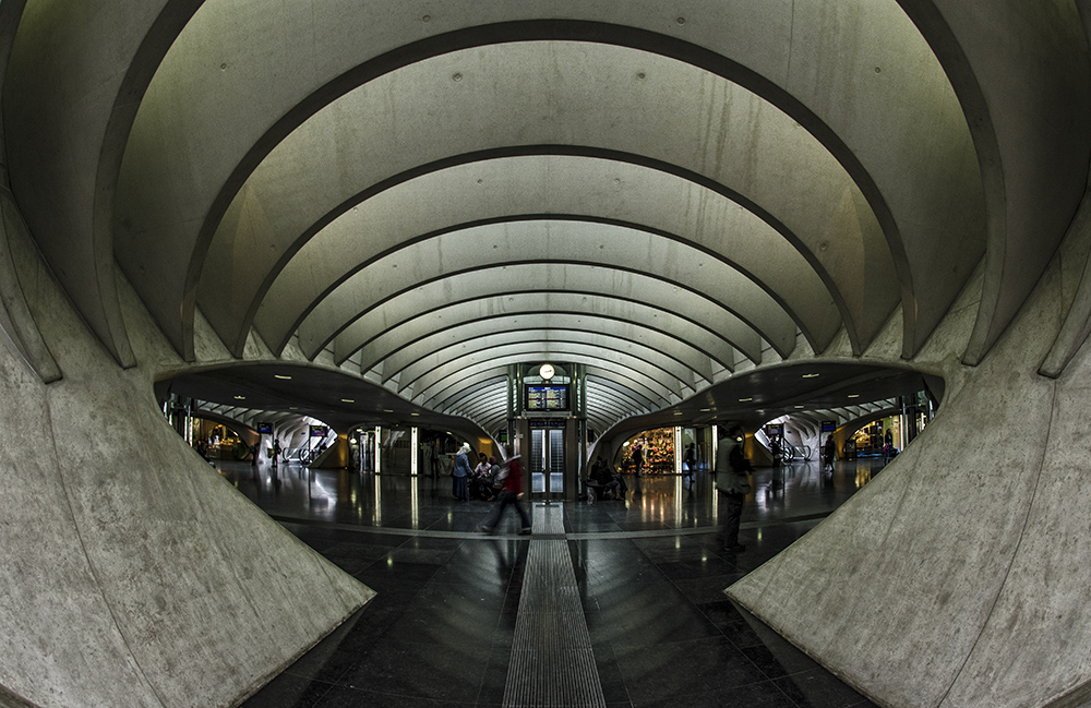 Belgien - Gare de Liège-Guillemins 6