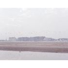 Belgien — Nikon F3