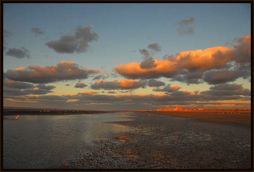 Belgien Nordsee ! Danach wieder Island :-)