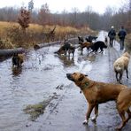 Belgier-Spaziergang...