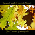Belgique, Louvain-la-Neuve, Bois de Lauzelle : une Chinoise... passant par là !