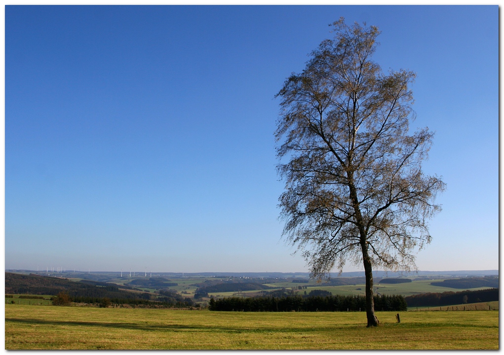 Belgische EIfel