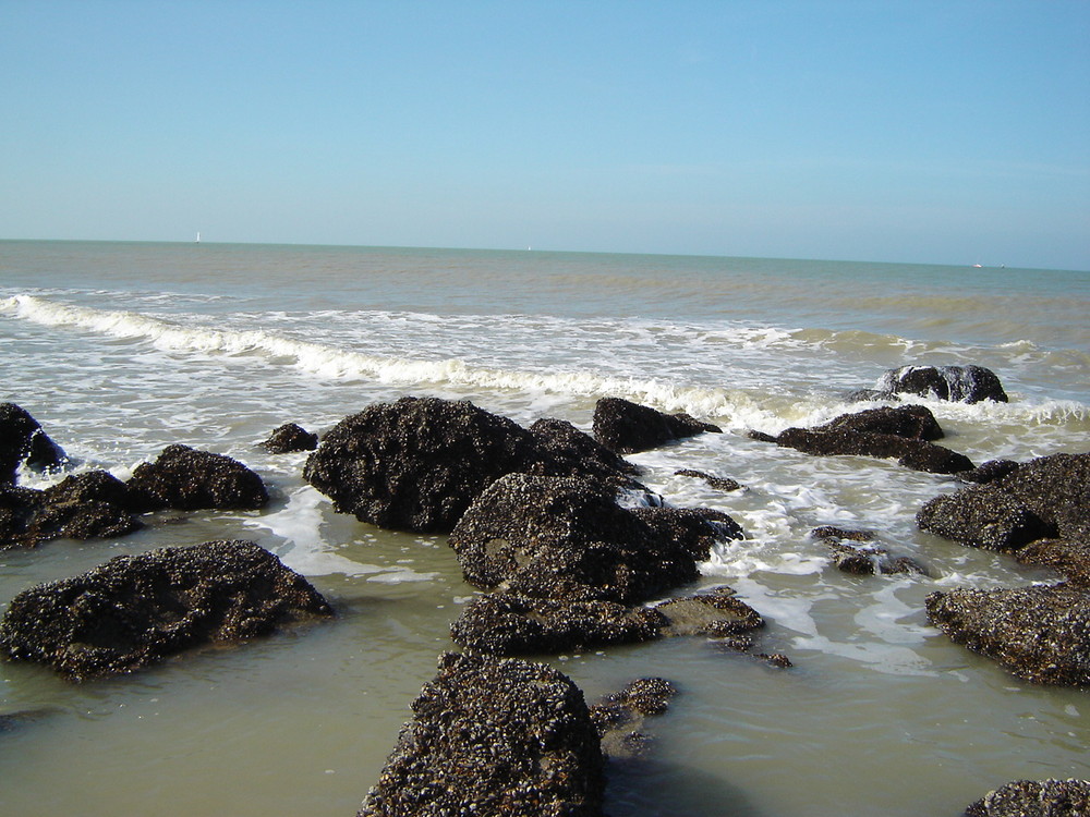 Belgische Nordseeküste