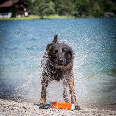 Belgische Wasserschleuder in Österreich