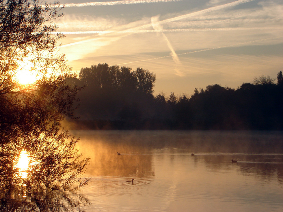 Belgischer Herbstmorgen - Leuven