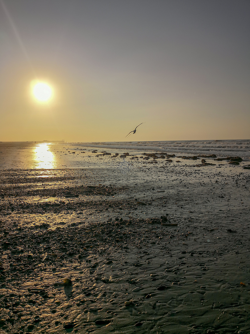 Belgium Beach