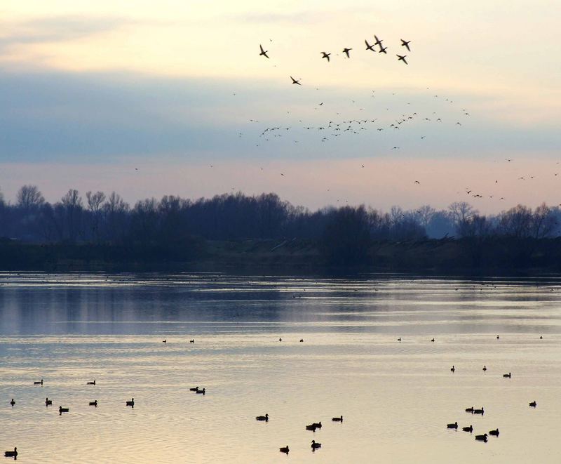 Belgrade s lake Ada on river Sava