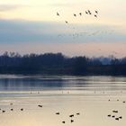 Belgrade s lake Ada on river Sava