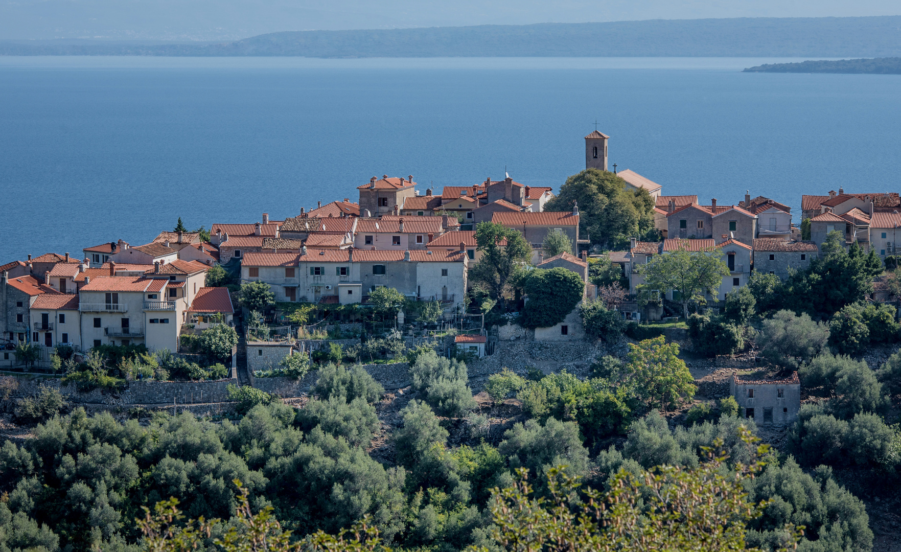 Beli auf der Insel Cres