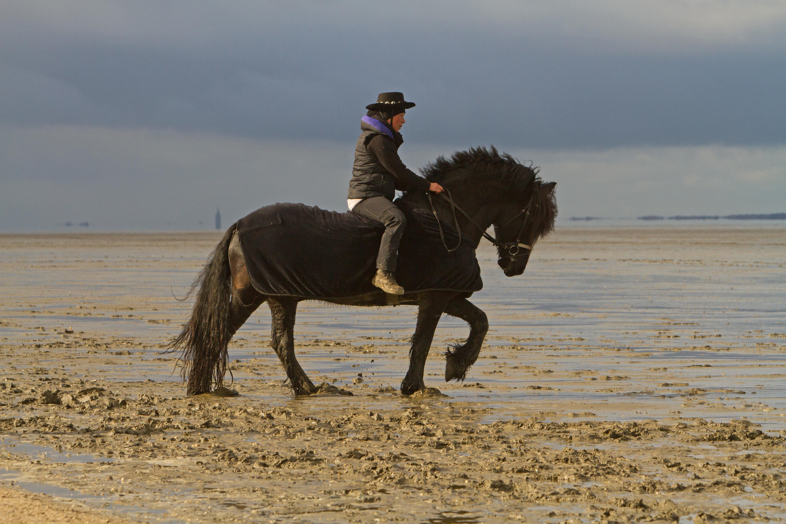 Belial im Wattenmeer