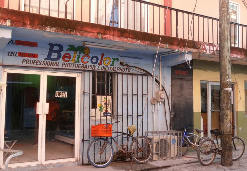 Belicolor