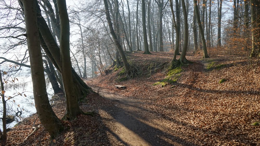 beliebter Rad- und Wanderweg (Schweriner See)