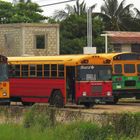 Belize-City Busse