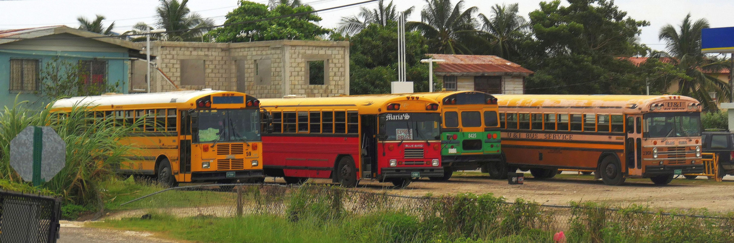 Belize-City Busse