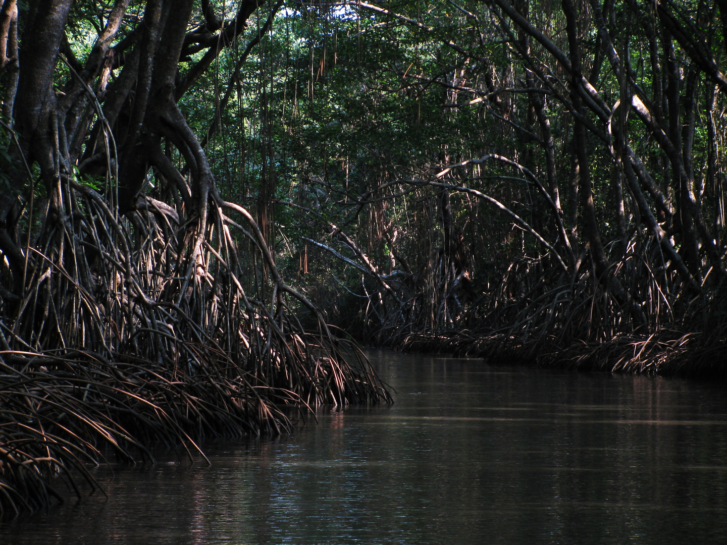 Belize (Zentralamerika)