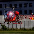 Bell 47 D-Helo