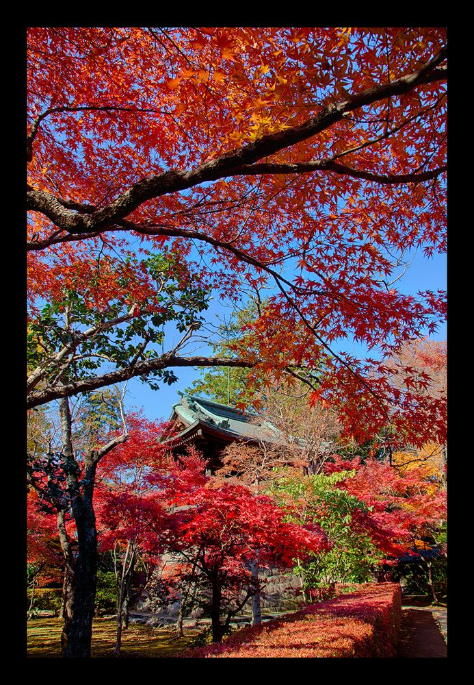 Bell tower-2