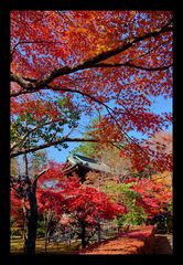 Bell tower-2