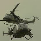 Bell UH-1D und BO-105