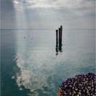 Bella Italia - Lazise