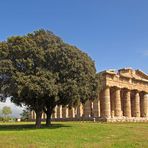 Bella Italia: Paestum 1