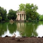 Bella Roma - Park der Villa Borghese