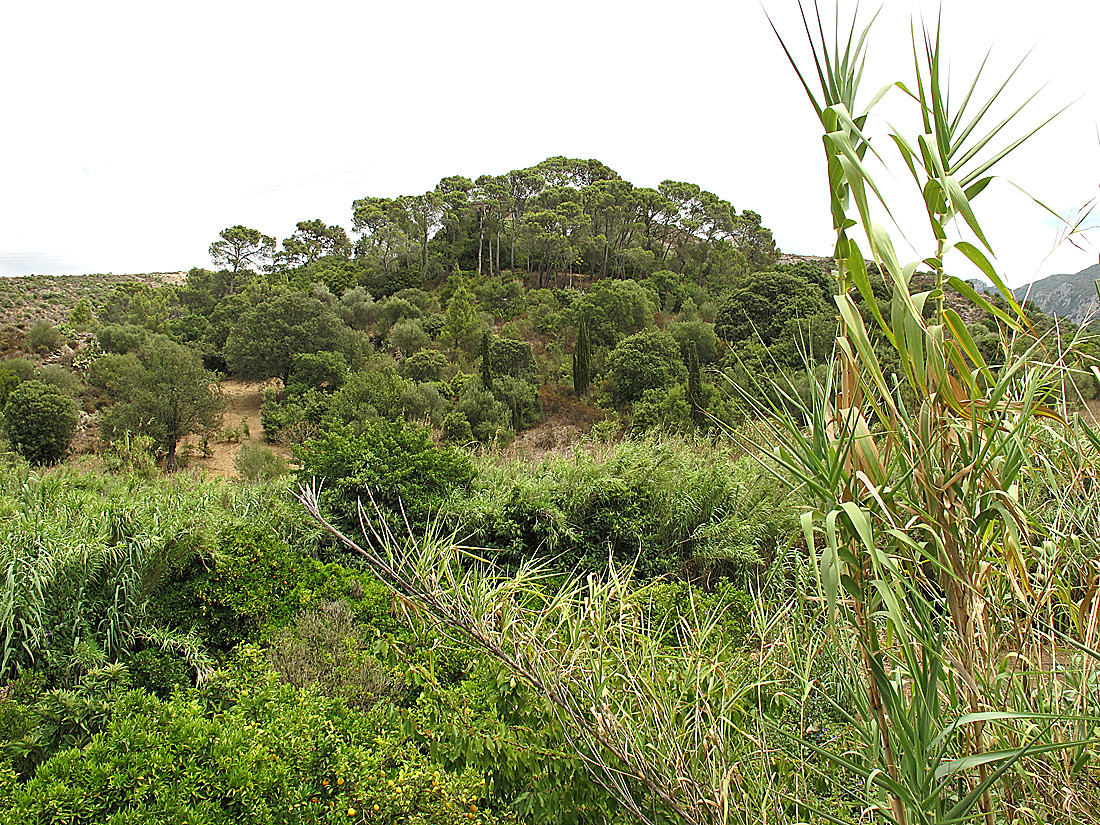 Bella Sardegna - Grüne Insel / Isola verde (1)