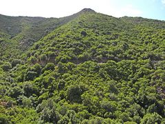 Bella Sardegna - Grüne Insel / Isola verde (3)