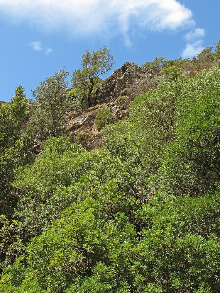 Bella Sardegna - Grüne Insel / Isola verde (4)