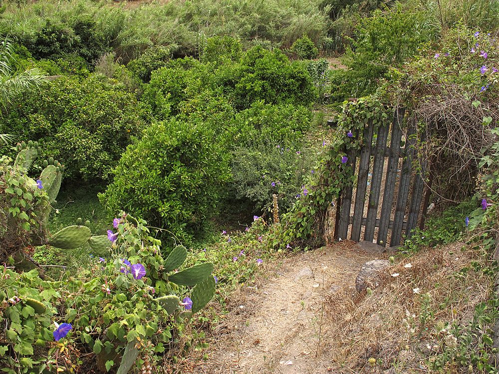 Bella Sardegna - Grüne Insel / Isola verde (5)