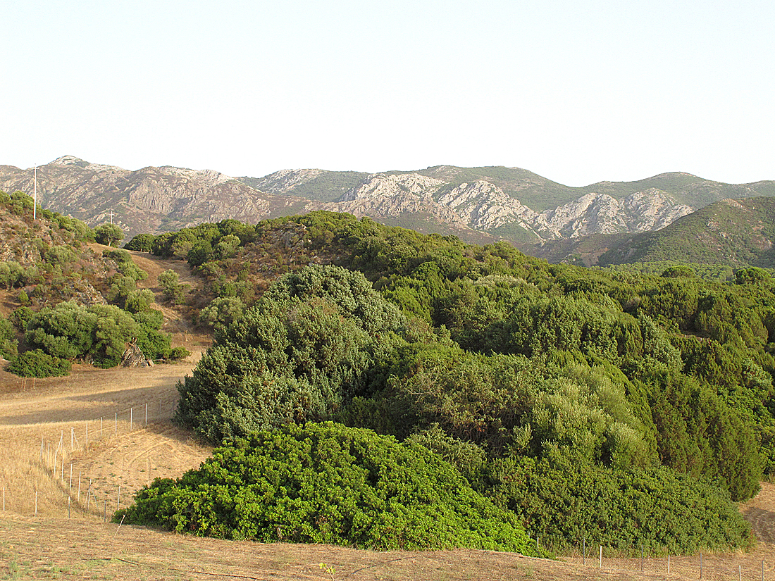 Bella Sardegna - Grüne Insel / Isola verde (6)