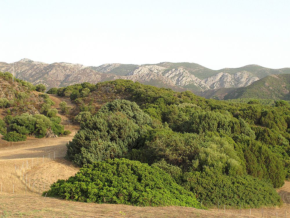 Bella Sardegna - Grüne Insel / Isola verde (6)