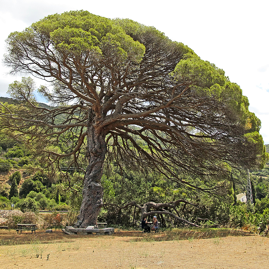 Bella Sardegna - Grüne Insel / Isola verde (9)