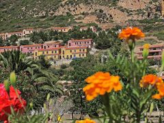 Bella Sardegna - Insel der Blüten / Isola dei fiori (4) (Nebida)