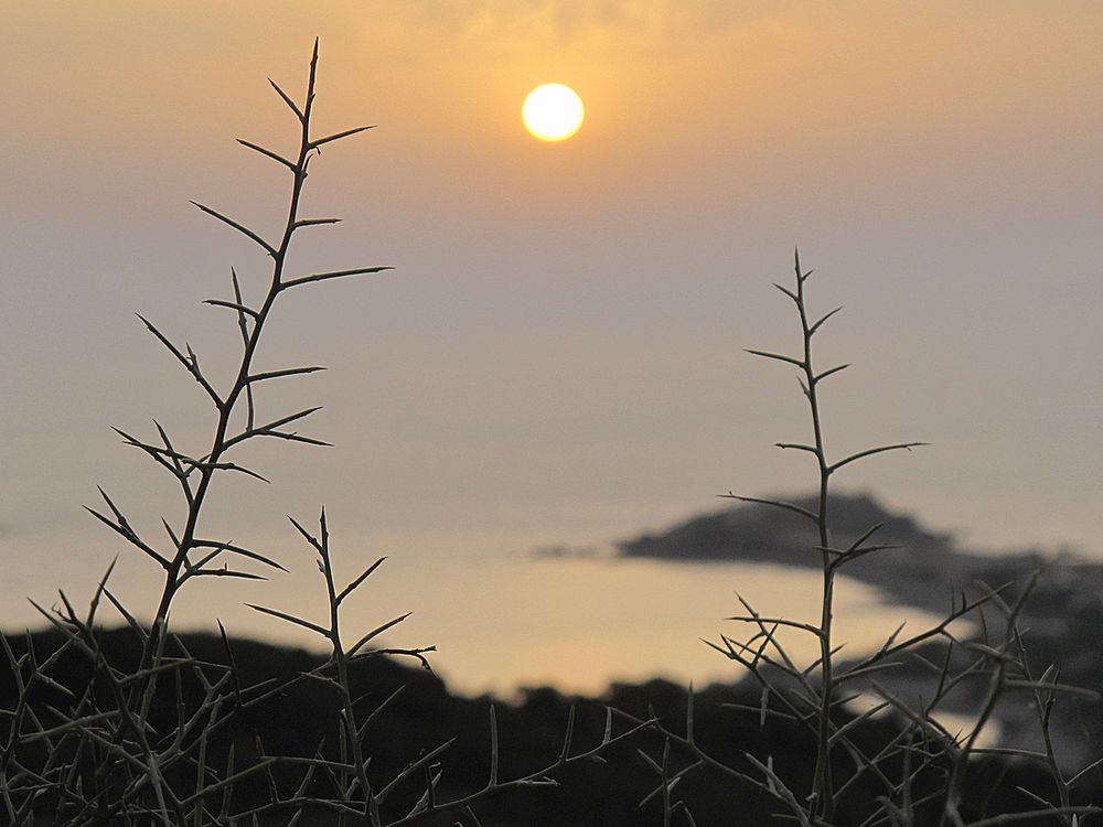 Bella Sardegna - Insel der spektakulären Sonnenuntergänge / Isola dei tramonti spettacolari (2)