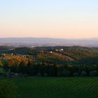 BELLA TOSCANA