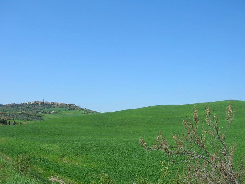 bella toscana