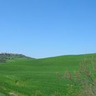 bella toscana