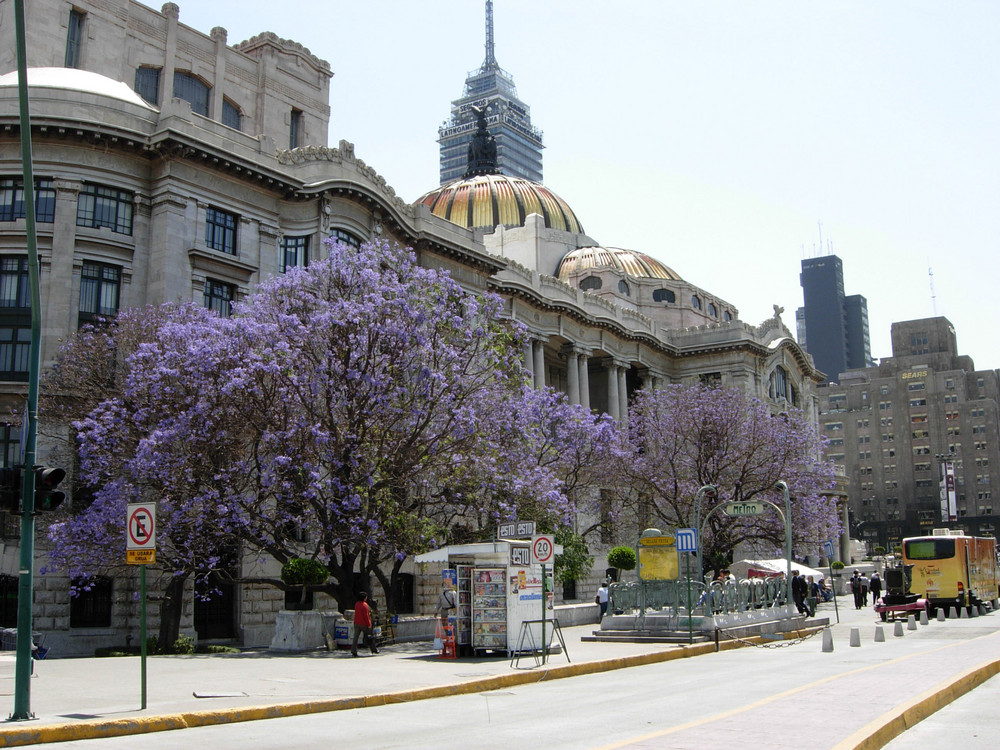 Bellas Artes