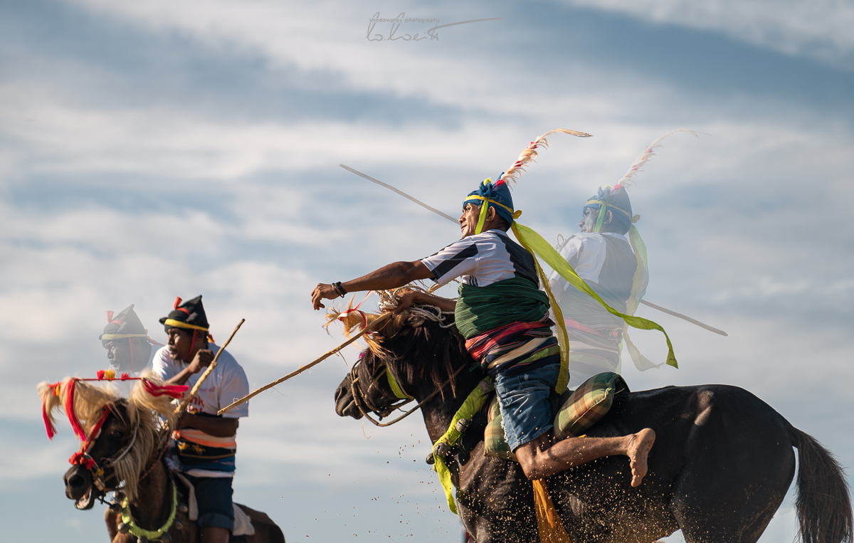 Bellator de Lumine ~ Pasola di Sumba